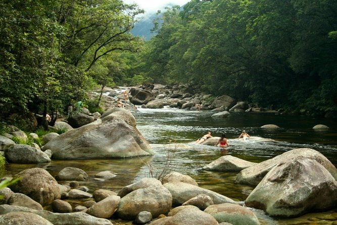 Port Douglas Daintree National Park Boutique Full-Day Tour - Key Points  