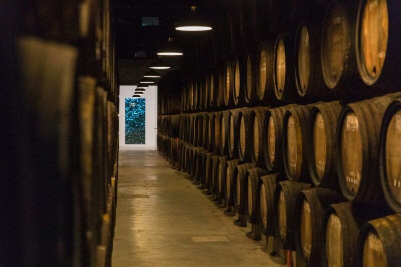 porto-guided-tour-and-tasting-of-3-port-wines-at-pocas