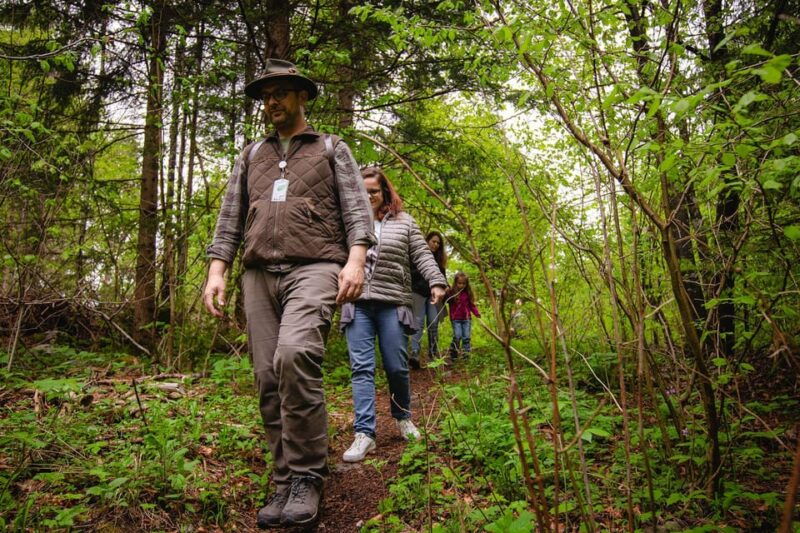 postojna-bear-watching-tour-with-ranger-and-local-guide
