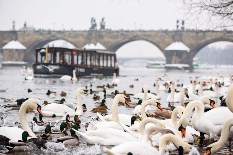 prague-1-5-hour-river-boat-cruise-and-guided-tour