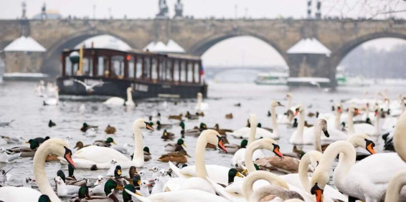 prague-river-cruise-charles-bridge-museum-walking-tour
