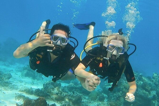 Private Boat for 1 afternoon Dive (beginners or certified divers) - Key Points