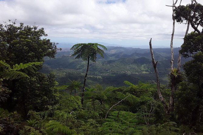 Private Breathtaking Mnt Victoria Day Trek - Key Points