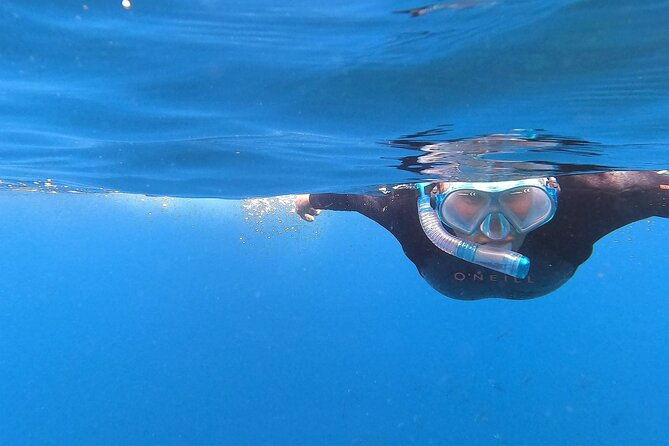 Private Charter 8 Hour Combo: Poor Knights Snorkel and Paddleboard with Fishing - Key Points