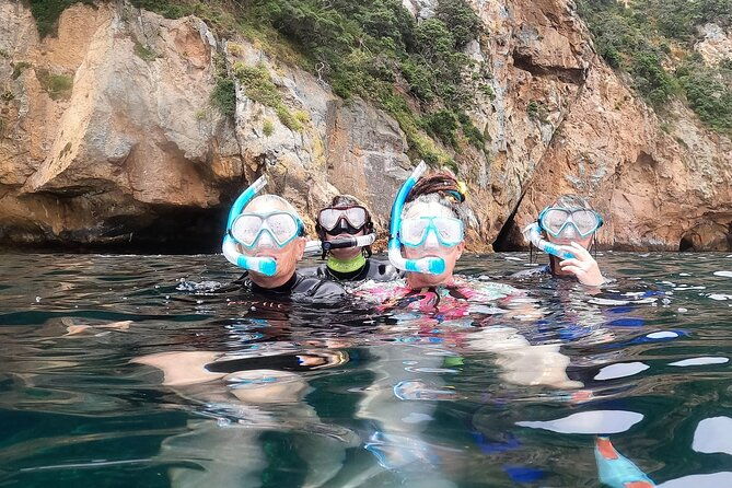 Private Charter 8 Hour Snorkel and Paddleboard the Poor Knights - 1 to 12 people - Discovering the Best of the Poor Knights and Tutukaka Coast