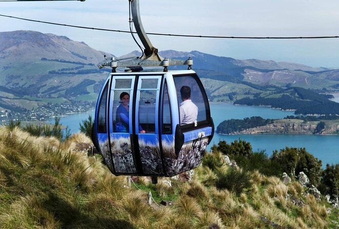 Private Cruise Ship Passengers Tour, Sightseeing in Christchurch - Key Points