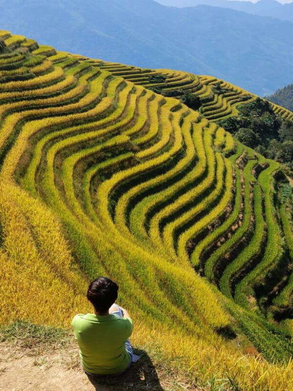 private-custom-tour-2-day-longji-rice-terraces-private-tour
