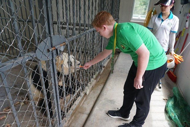 Private Day Tour: Dujiangyan Panda Base Volunteering from Chengdu - Key Points