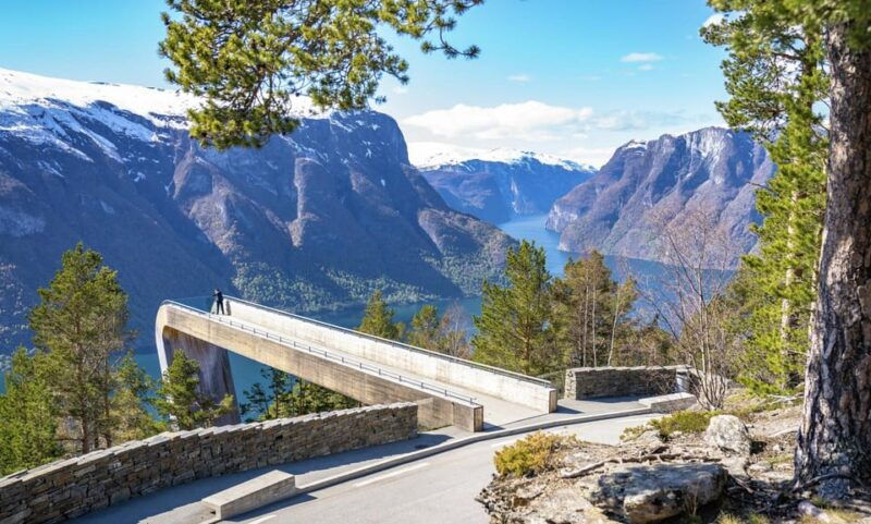 private-day-tour-flam-railway-fjord-cruise-from-bergen