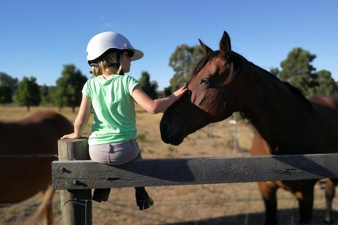 Private Farm Tour Experience - Key Points