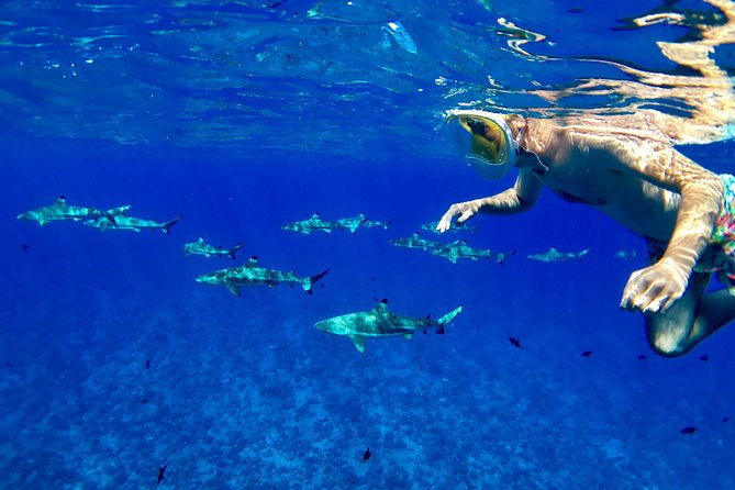 PRIVATE FULL DAY LAGOON TOUR - Bora Bora Cultural Lagoon Tour - Key Points  