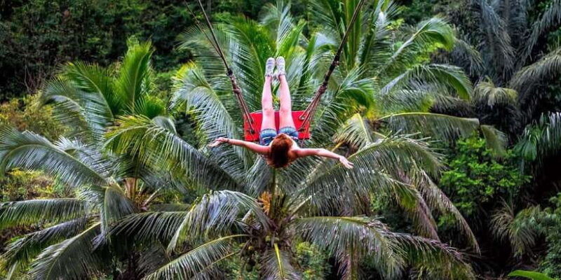 private-full-day-tour-to-the-real-bali-swing-and-ubud