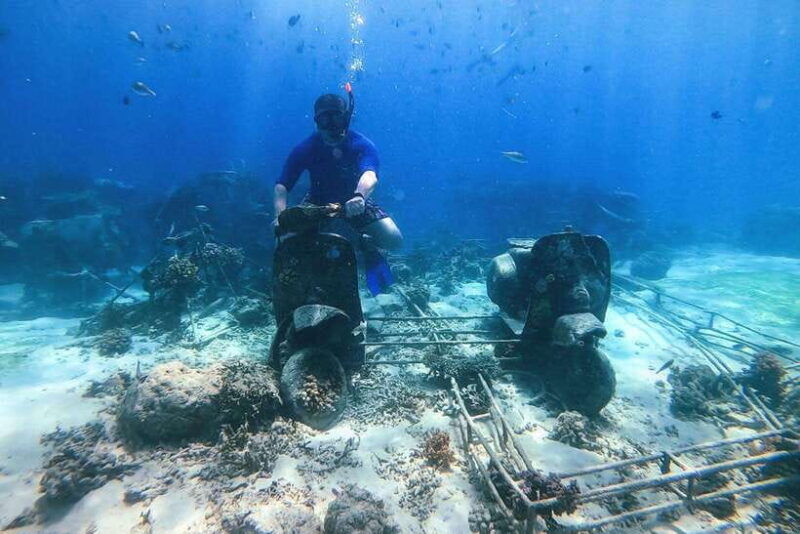 private-group-snorkeling-3-gili-islands-from-gili-trawangan
