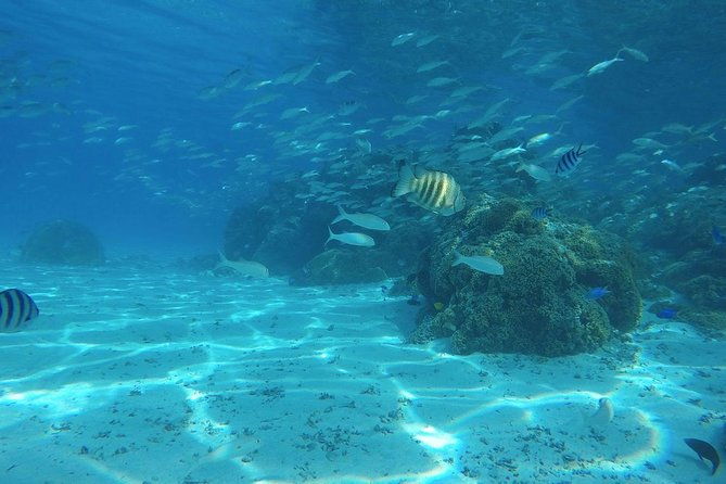 PRIVATE HALF DAY CULTURAL & LAGOON TOUR - Bora Bora Cultural Lagoon Tour - Key Points