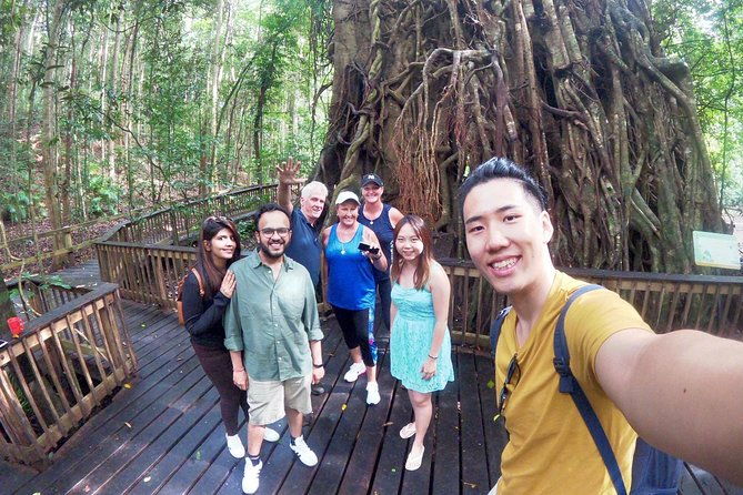 Private Half Day Tour: World Heritage Rainforest & Waterfall - Exploring the Best of Cairns’ Rainforest and Waterfalls in Half a Day