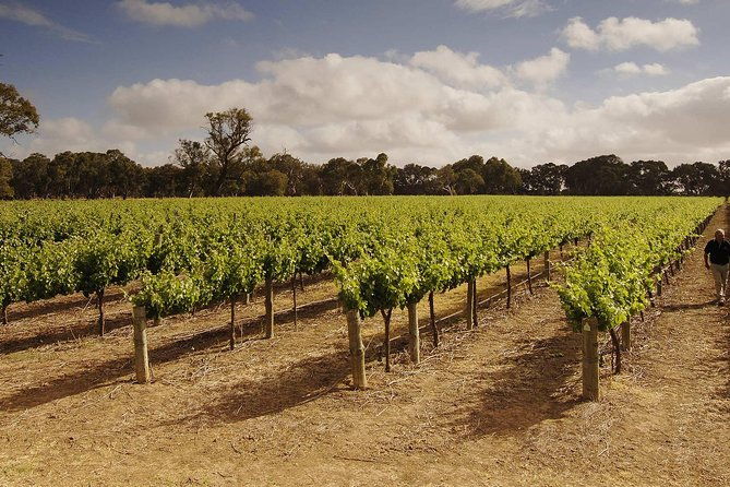 Private Langhorne Creek Wine Region Tour from Adelaide - Discover the Private Langhorne Creek Wine Region Tour from Adelaide