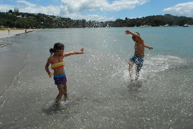Private Maori Walking Tour with Wine Tasting and Lunch - Exploring Waiheke Island with a Private Maori Walking Tour