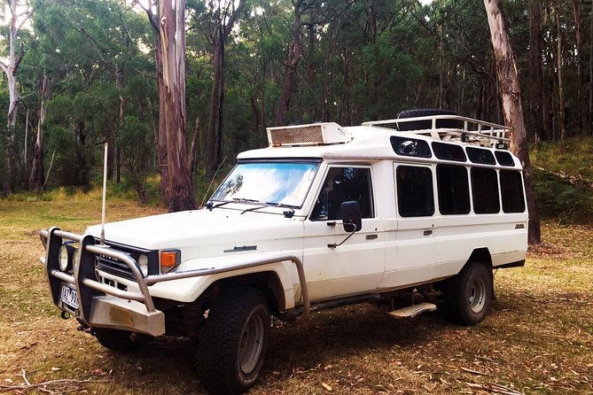 Private Nocturnal Wildlife Tour from Melbourne - Key Points