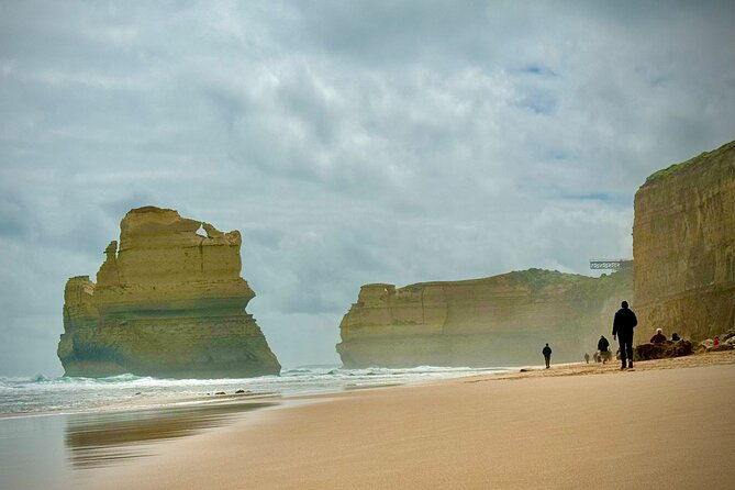 Private Premium Great Ocean Road with Lunch & Wildlife spotting - Key Points