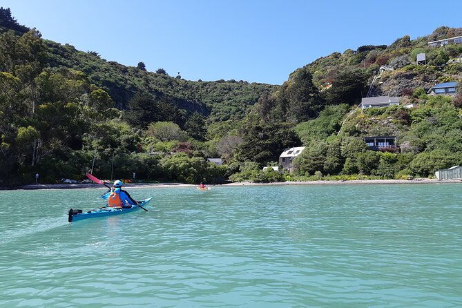 Private Sea Kayaking Tour from Christchurch/Lyttelton - Discover Christchurchs Coastal Beauty with a Private Sea Kayaking Tour