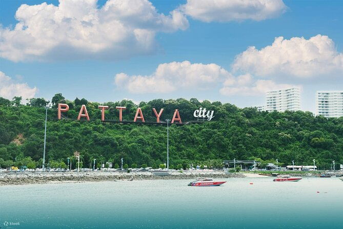 Private Shuttle SUV Bangkok From or To Pattaya - Vehicle & Comfort