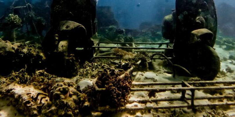 private-snorkeling-with-turtle-and-romantice-statue