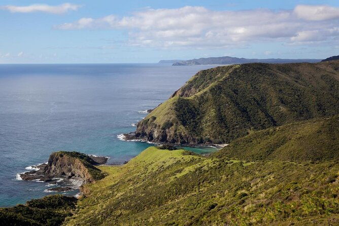 Private Tour [3 Days]: Bay of Islands, Russell, Cape Reinga & 90 Mile Beach - Introduction