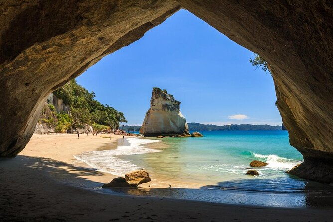 Private Tour - Coromandel Beach, Caves & Forest - Exploring the Coromandel Coast: A Private Tour That Delivers Authenticity and Comfort