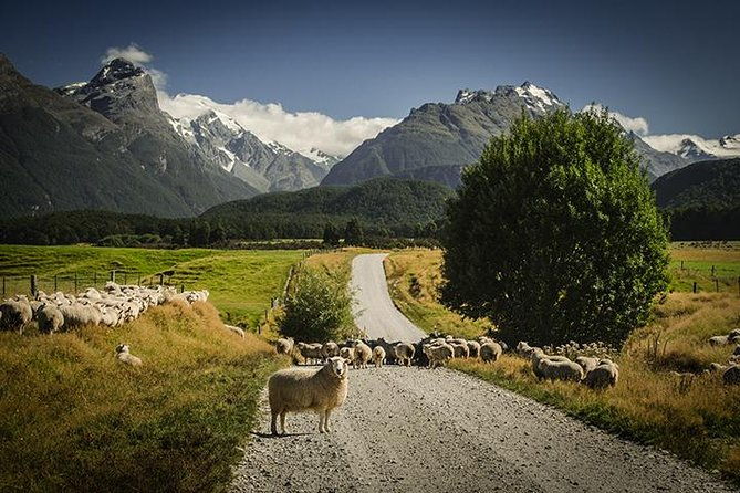 Private Tour Full Day Queenstown and Southern Lakes Photography Tour - An In-Depth Look at the Queenstown and Southern Lakes Photography Tour