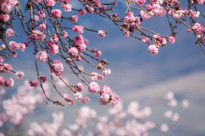 Private Tour Half Day Queenstown and Beyond Photography Tour - Key Points  