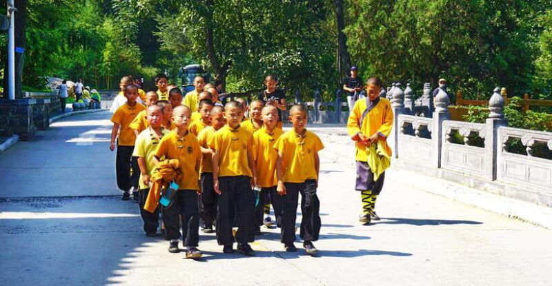 private-tour-longmen-grottoes-shaolin-temple-kungfu-show
