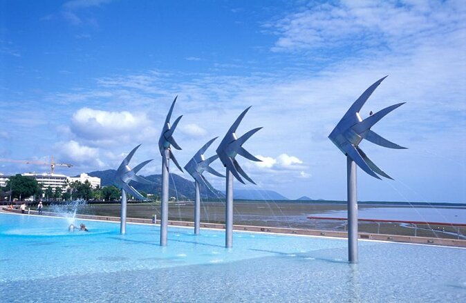 Private Transfer from Cairns Cruise Port to Cairns Airport (CNS) - Key Points
