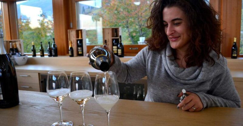 private-venetian-hills-wine-tour