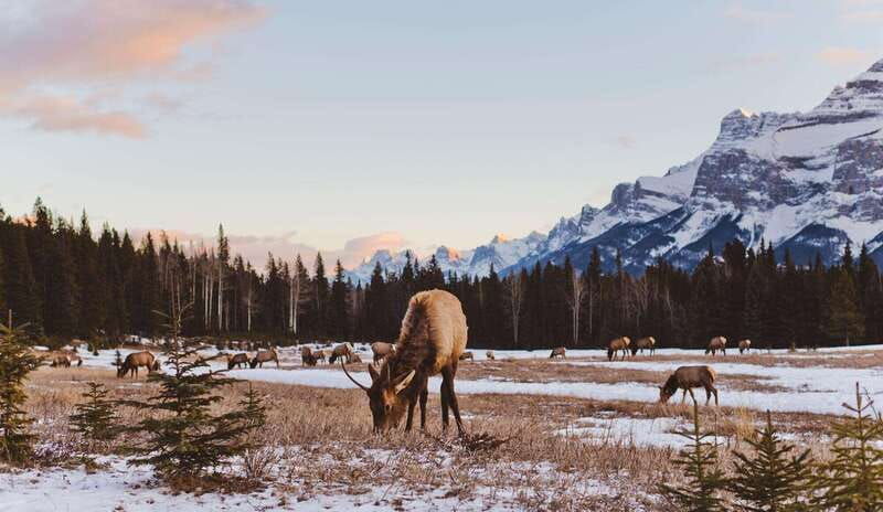 private-wilderness-and-wildlife-walking-tour-2-5h
