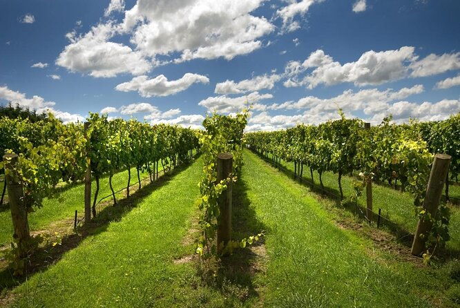 Private Wildlife Waterfalls and Wine Day Tour from Sydney - A Look at the Private Wildlife Waterfalls and Wine Day Tour from Sydney