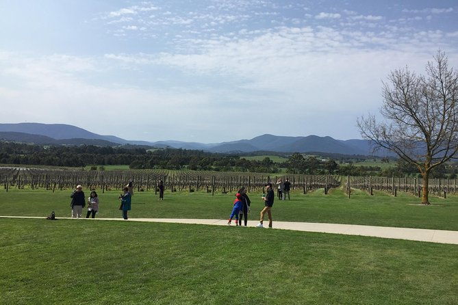 Private Yarra Valley Wine Tour - Key Points