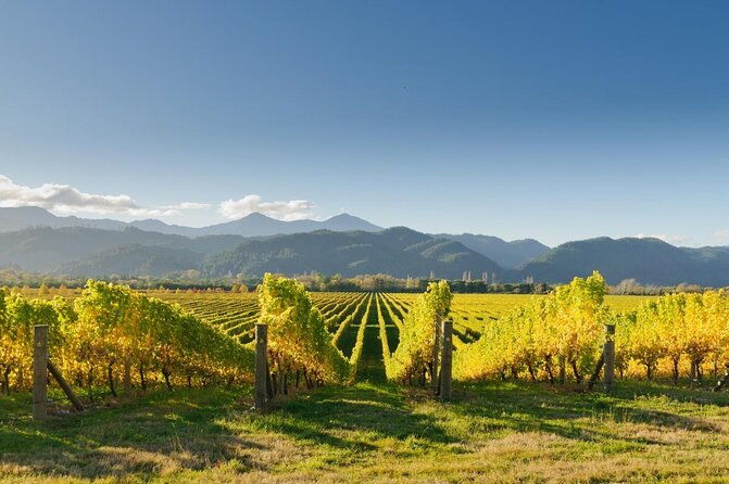 Progressive Wine and Gourmet Trail of Marlborough - Key Points