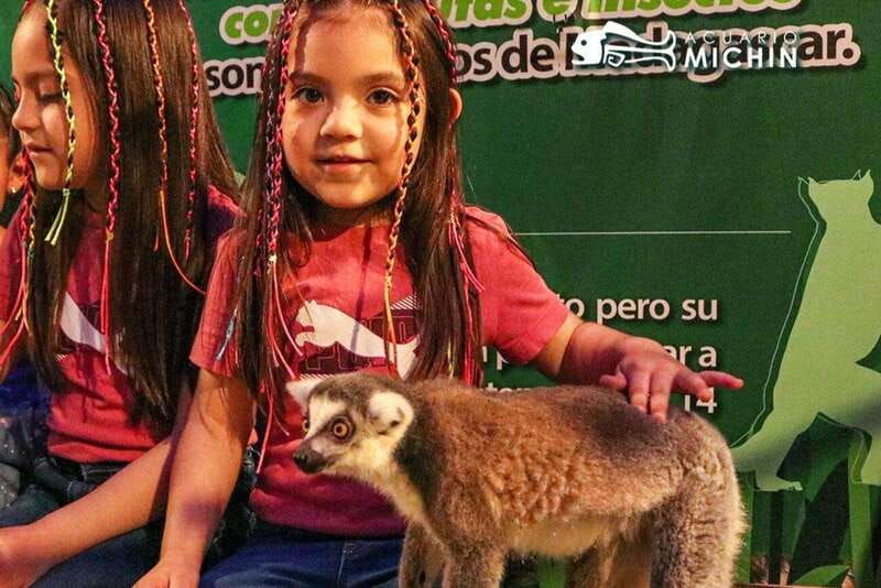 puebla-ticket-to-aquarium-michin
