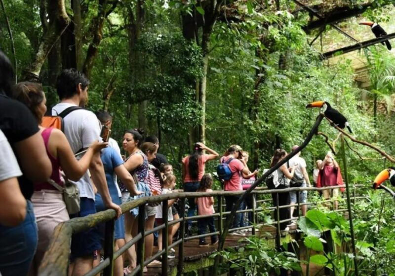 puerto-iguazu-iguaza-falls-brazilian-side-bird-park-tour