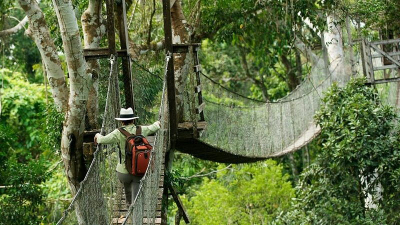 puerto-maldonado-4-day-amazon-rainforest-adventure