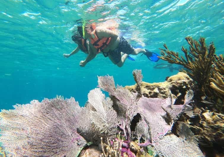 puerto-morelos-reef-snorkeling-adventure-with-transport