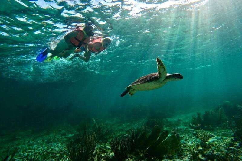 puerto-morelos-snorkeling-guided-activity