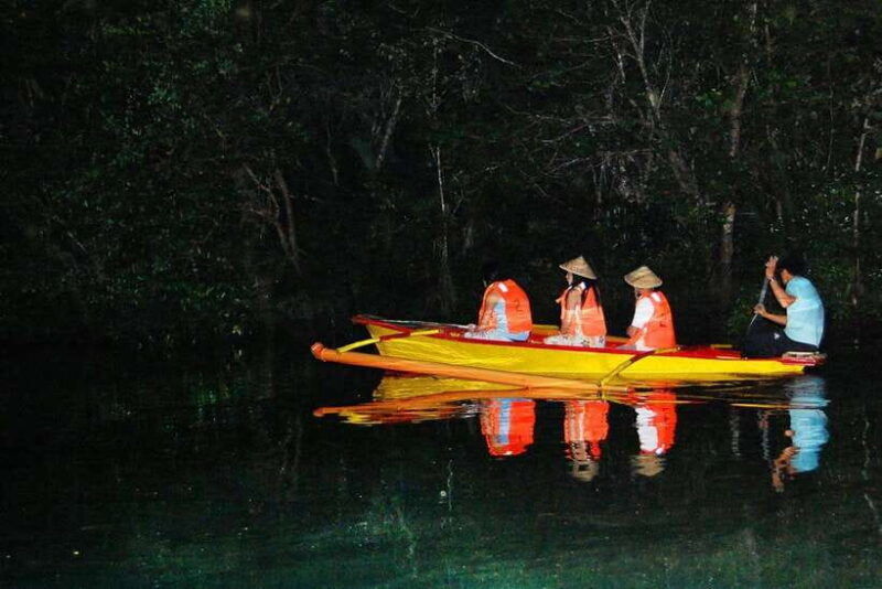 puerto-princesa-firefly-watching-shared-tour