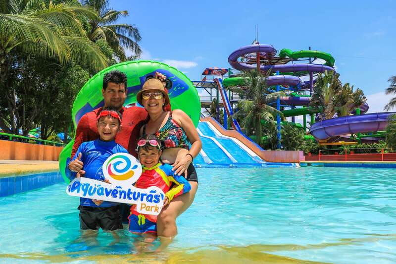 puerto-vallarta-sea-lion-discovery