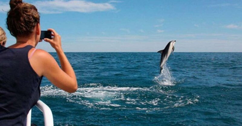 pula-national-park-brijuni-island-visit-dolphin-cruise