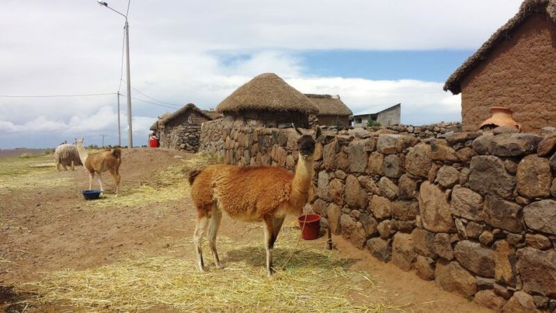 puno-sillustani-inca-cemetery-half-day-tour