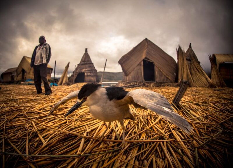 puno-uros-and-taquile-islands-tour-including-lunch