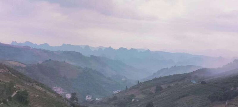 qixianfeng-tea-plantation-tour-in-yangshuo