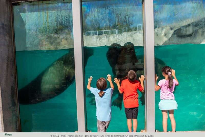 quebec-aquarium-of-quebec-entry-ticket