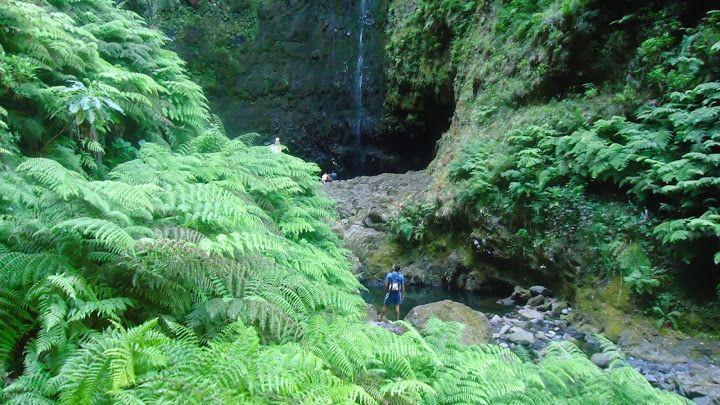 queimadas-natural-park-5-hour-guided-hike